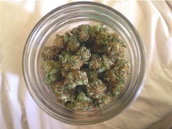 brittneybrightside:  *Alien Bubba*  #CrystalLeafCollective