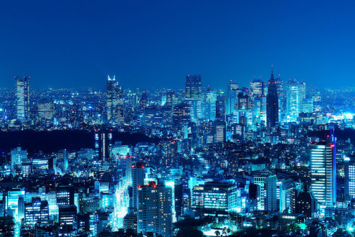 Shinjuku Skyscrapers by hidesax on Flickr.
