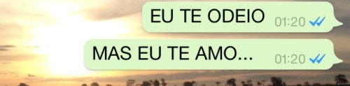 sorry not sorry