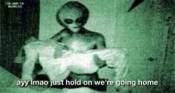 drakefanclub:  eat-sleep-stance:  Ayy lmao  shut up 