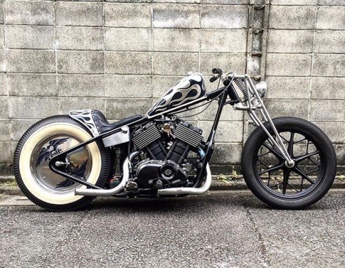 Jack Harley Breizh