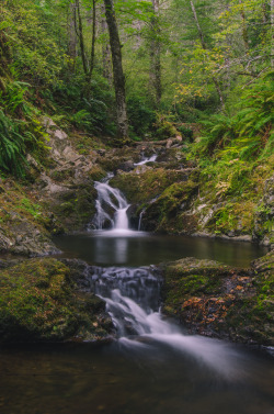 millivedderphotography:  Cascading Flickr|Tumblr|Instagram|Society6