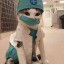 dr-feline