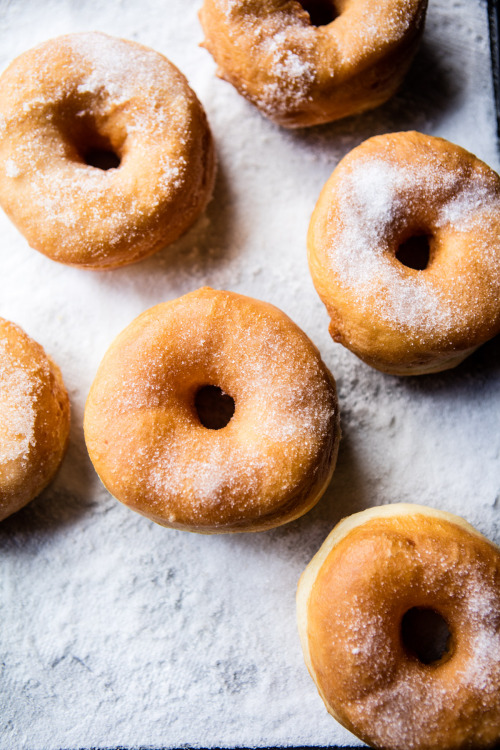 sentry-34:  feels-vining: sweetoothgirl: Strawberry Shortcake Grilled Doughnuts @sentry-34  @mmmmmistilllikepotatosalad@burning–light@brittania-rex  Well alright then, those look tastyyy