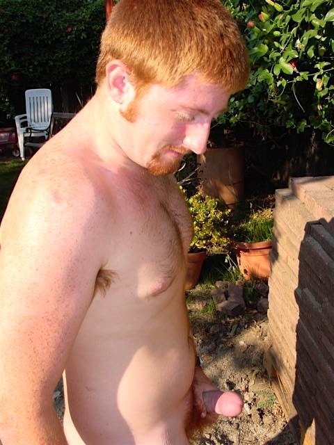 superbears:  young ginger cub got a scrumptious fat dick head  Damn