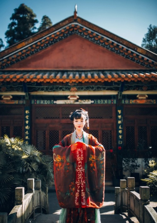 ziseviolet:Traditional Chinese Hanfu - Type: Ruqun/襦裙 and Daxiushan/大袖衫 (large-sleeve robe).