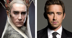 richardcfarmitage:  Majestic Kings:  Thranduil