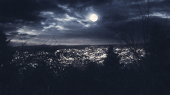 boobsario:  Teen Wolf Meme » Scenerygasm 