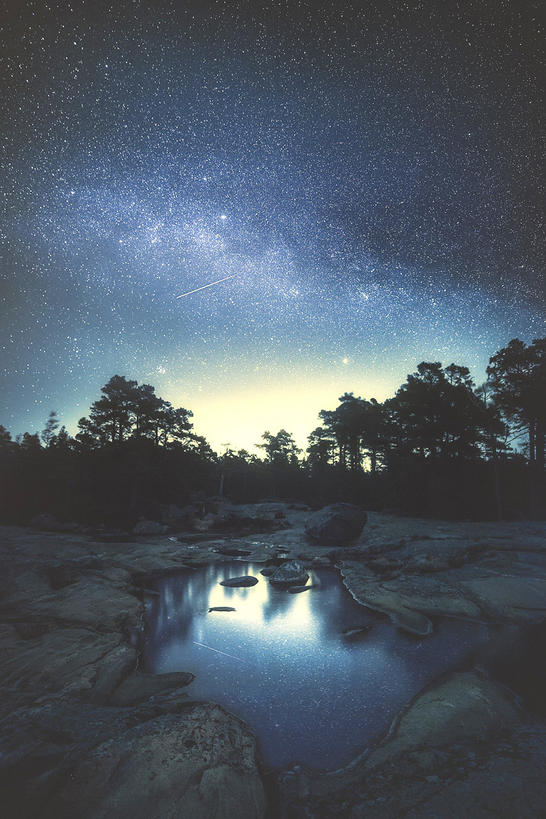 heaven-ly-mind:  Sweet dreams are made of stars.