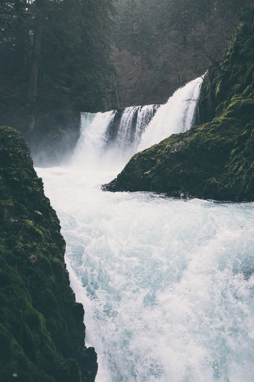 Moody Nature