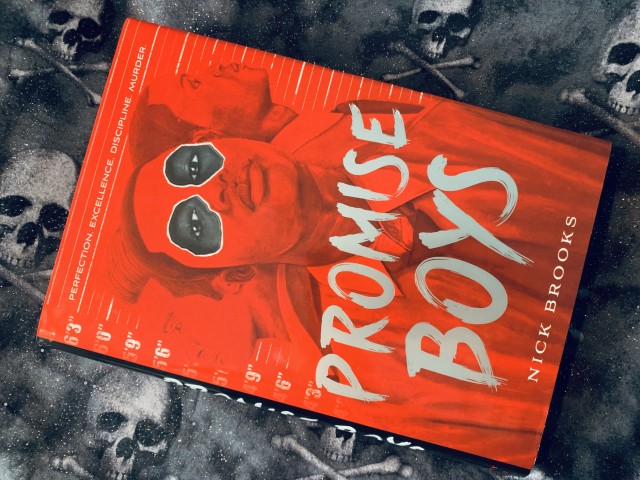 Shown is PROMISE BOYS (with cover art depicting three young men in a lineup, with black art peeking through the red that makes up much of the cover) with a backdrop of grey skulls and crossbones. Photo by AHS.