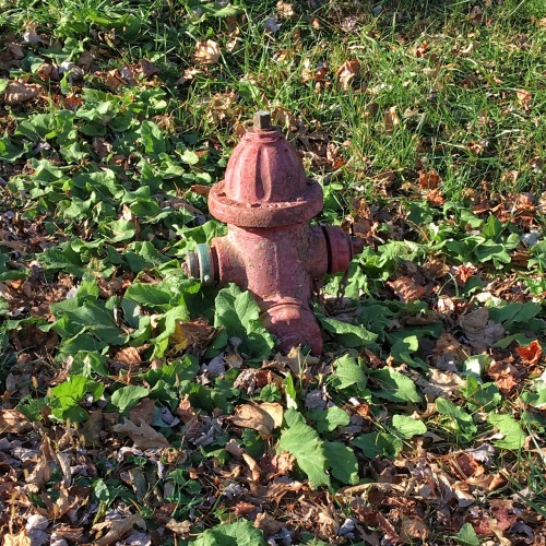 Hydrant, Skyland, Shenandoah National Park, 2016.The hydrant sits in a grassy area rather far from b