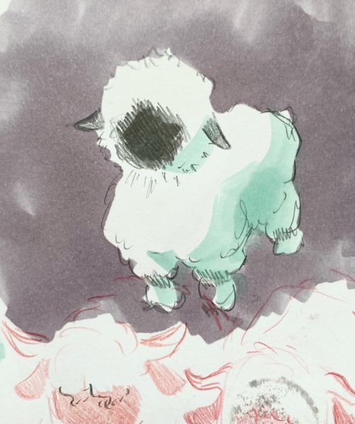 The Valais Blacknose Sheep Is Very Cute!