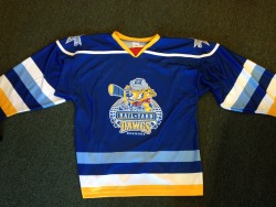 Pro Ice Hockey Has Come Back To Roanoke! Once Upon A Time The Echl Team, The Roanoke