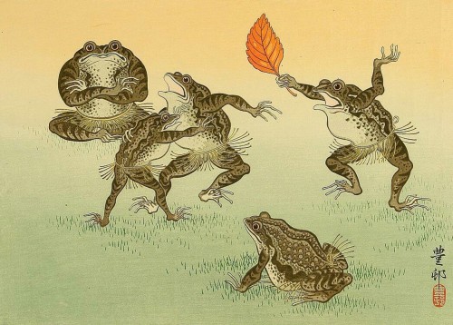 Frog Sumo by Shoson Ohara (1930’s)