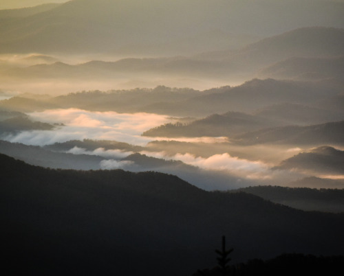 americasgreatoutdoors:Often cloaked in haze and fog, the Cherokee people called the Great Smoky Moun