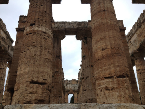 The Temple of Hera I at Paestum Greek, Southern Italy, 6th Century B.C. 