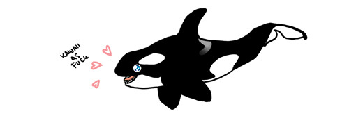 orcas are the coolest shit and if you don’t agree you are wrong
