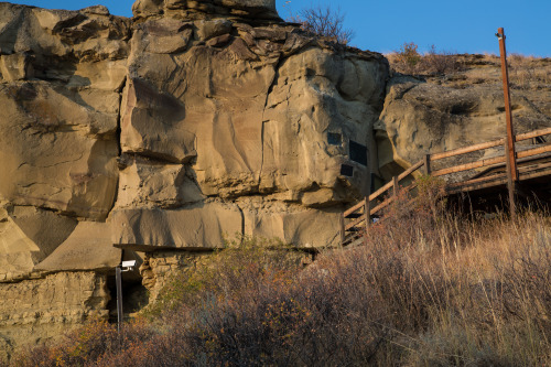 mypubliclands:Trivia Tuesday from BLM MontanaPompeys Pillar National Monument is home to Captain Wil