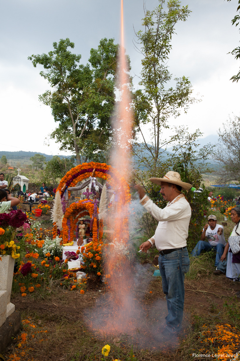 didyouseethewind:  On the 2nd of November, the altars are dismantled, then (almost)