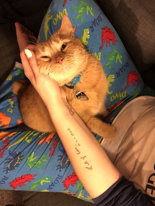 invisiblelovestory:Caturday is almost over and I spent the last few hours of it with Manu being a gi