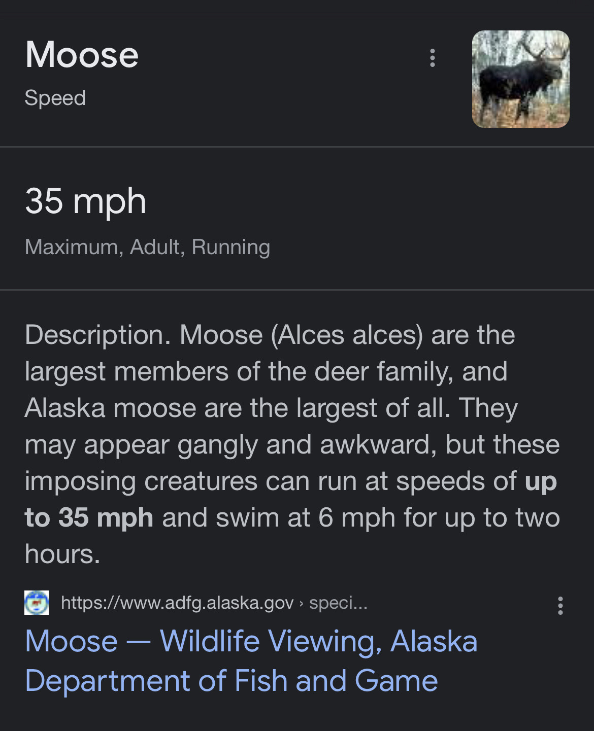 utah-mountain-drifter:marinella-ela:Oh, ok. 