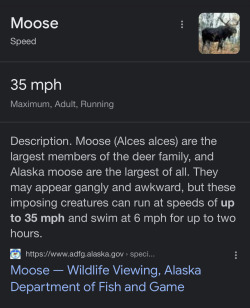 utah-mountain-drifter:marinella-ela:Oh, ok. 
