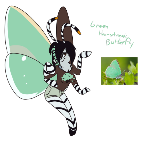 Lepidoptera People
