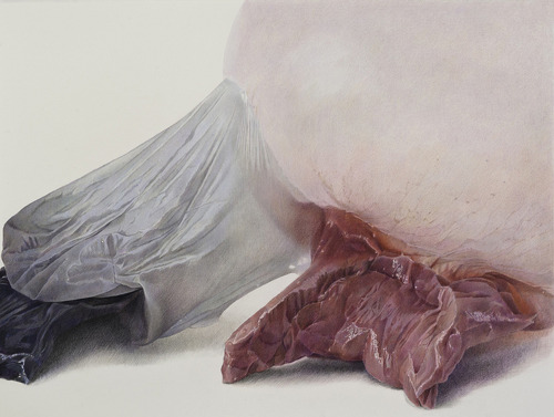 likeafieldmouse:  Julia Randall - Blown (2011-12) - Color pencil on paper Artist’s statement:  “Bubblegum initially connotes innocent, cheeky pleasure, yet the fragile skin of gum also points to the susceptibility of the body, and the dreaded passage