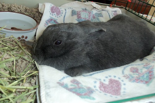 It&rsquo;s been almost four months since I lost Jack. It&rsquo;s been a difficult