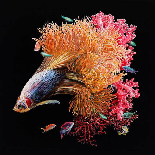 bettatastic:culturenlifestyle:Hyper Realistic Paintings of Exotic Fishes by Lisa Ericson Designe