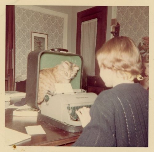 alicornmoonstar:Cats: Sitting on our laptops before they were even laptops