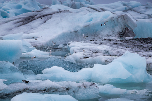 Jökulsárlón glacier lagoon