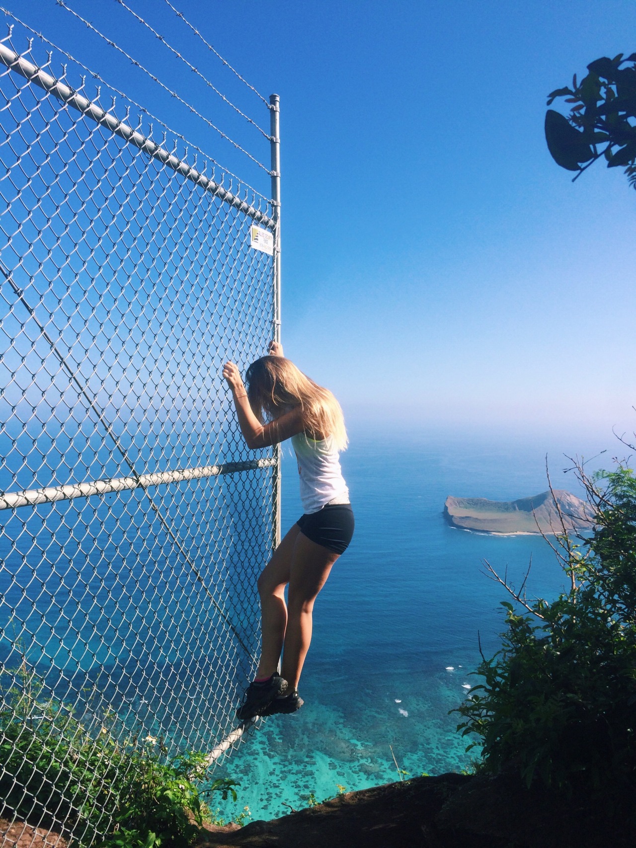 the-endless-adventure-hawaii:  Live on the wild side 