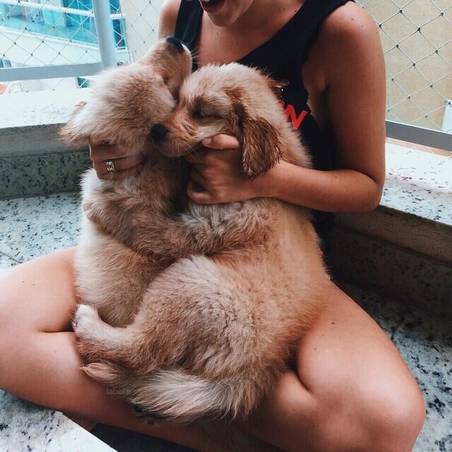 Proibidão