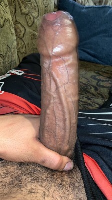 pullback718:  Main Vein 🐘