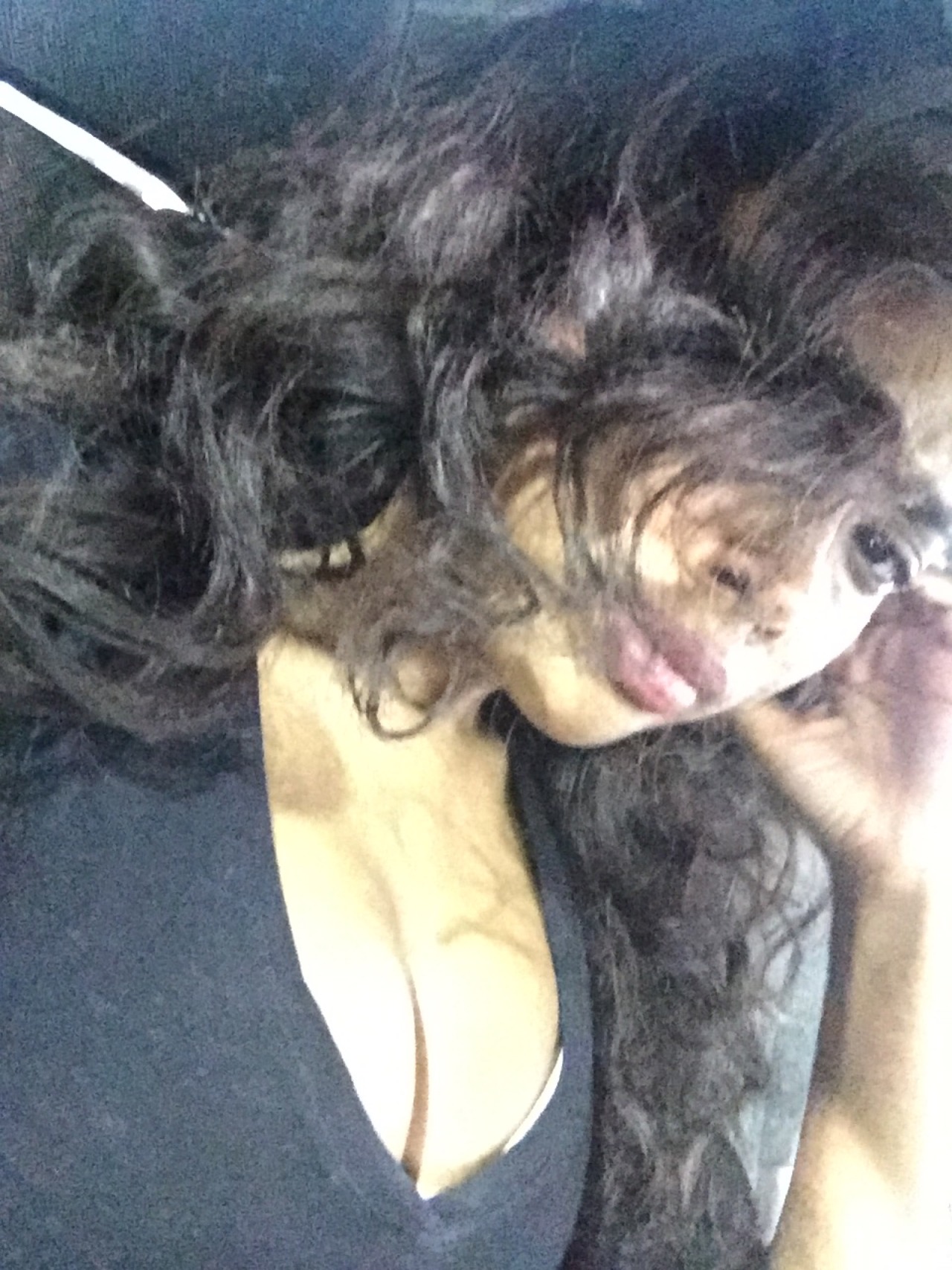 alyssaayaan:  somebody tried to holla at me while I was taking this picture tbh