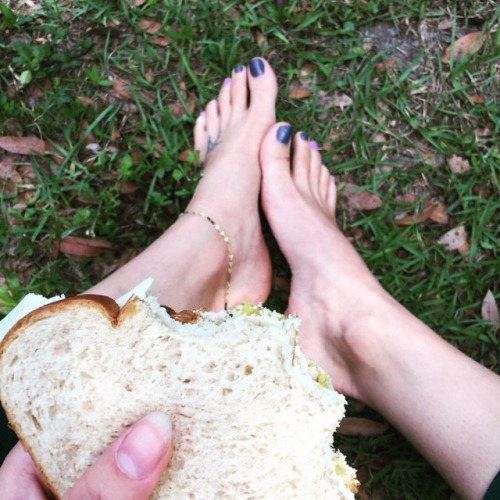golde3rose: What’s for lunch today? #turkeysandwich #healthyfood #healthylunchideas #earth #ea