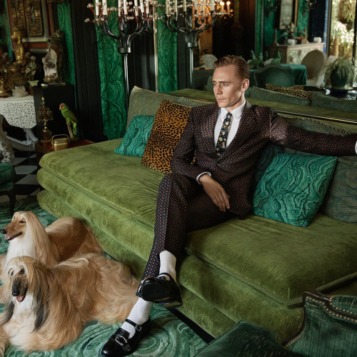 lokitvsource: Tom Hiddleston for Gucci (2017)