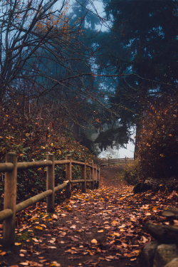 plasmatics:  Fall Path by Norton Zanini |(Website) 