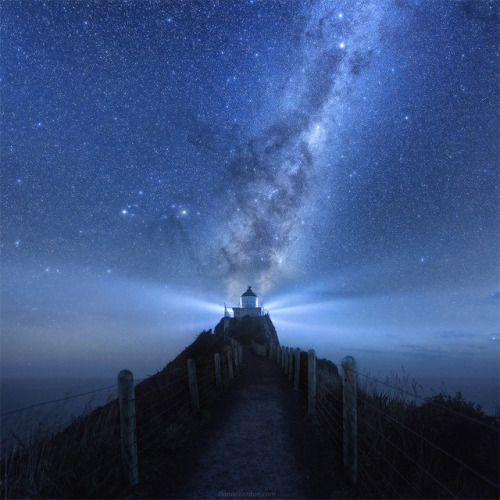 The Milky Way over Nugget Point Lighthouse, New Zealand. js