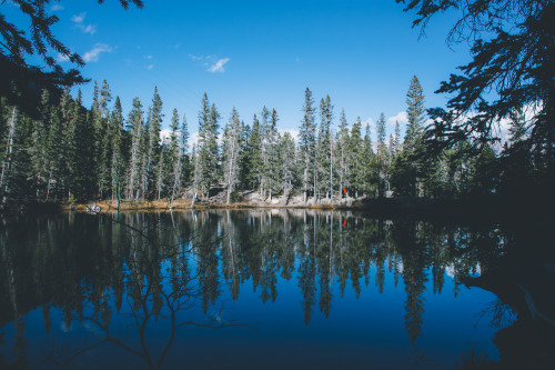 adm-kng:  Grassi Lakes | instagram | flickr