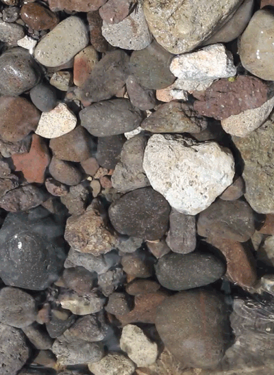 rivermusic:  ~~Heart of the River~~gif by rivermusic, May 9, 2016