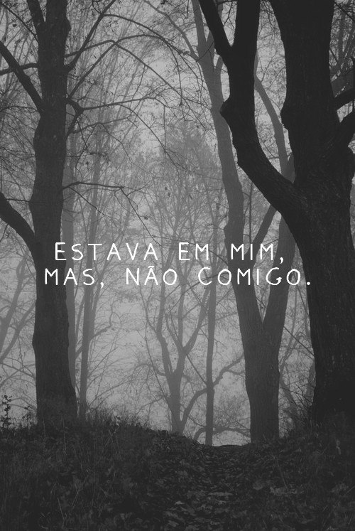 aamorim2:   