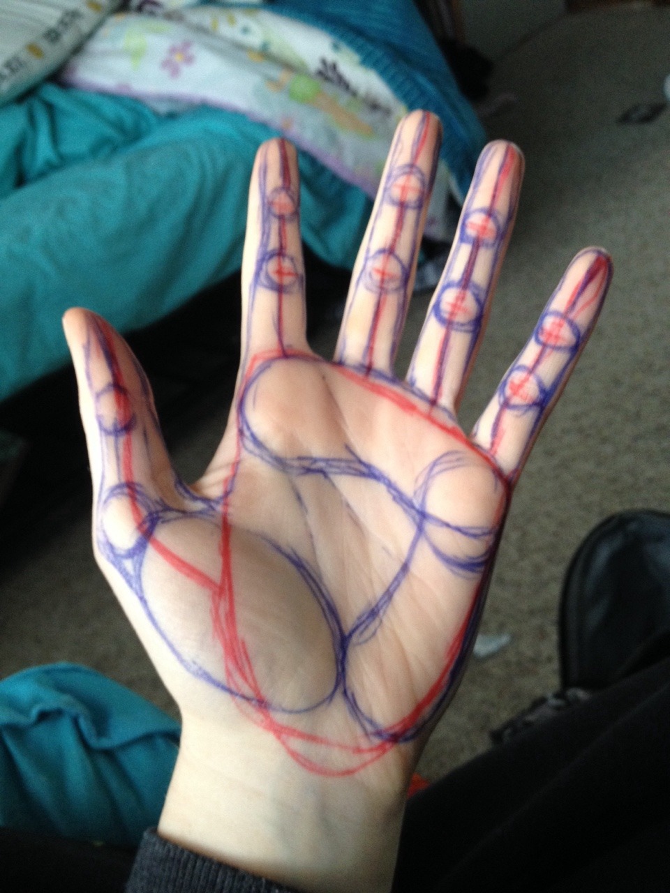 joehillsthrills:  eartheal:  littlez13:  I always struggled drawing hands before