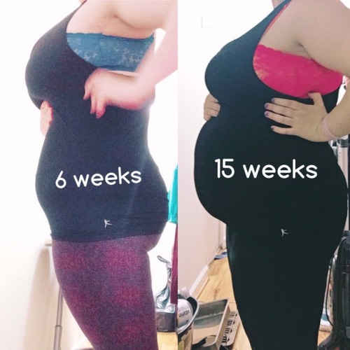 pregnantpiggy: That growth 