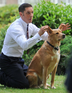 typicalwhiteboys:  suits // dogs 