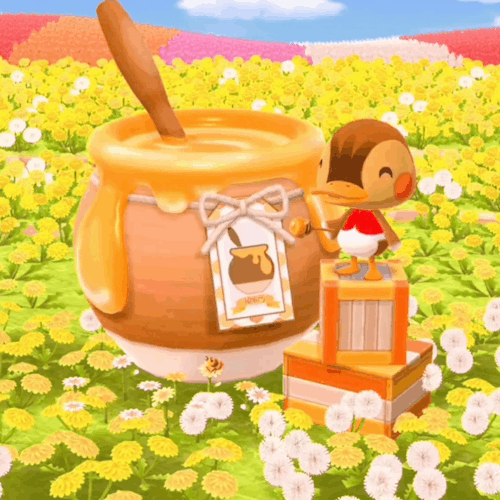 Molly! 🦆🌼🌻