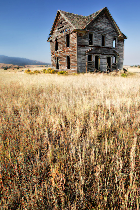 wapiti3:  ABANDONED! 