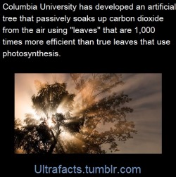 ultrafacts:  Source Follow Ultrafacts for